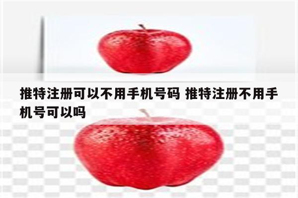 推特注册可以不用手机号码 推特注册不用手机号可以吗
