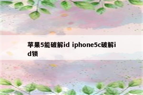 苹果5能破解id iphone5c破解id锁