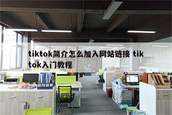 tiktok简介怎么加入网站链接 tiktok入门教程