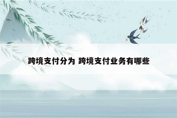 跨境支付分为 跨境支付业务有哪些