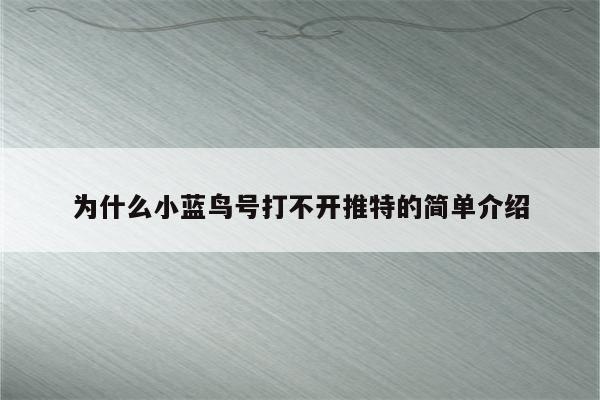 为什么小蓝鸟号打不开推特的简单介绍