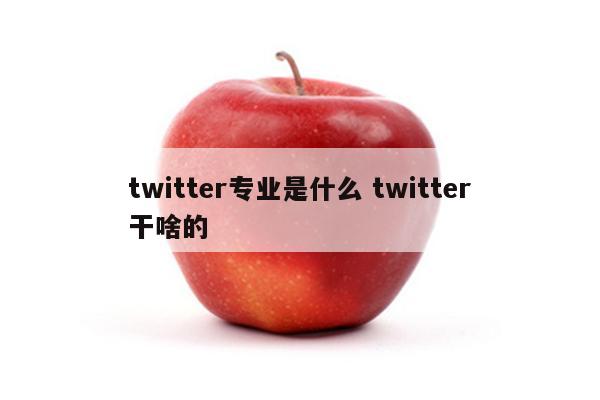 twitter专业是什么 twitter干啥的