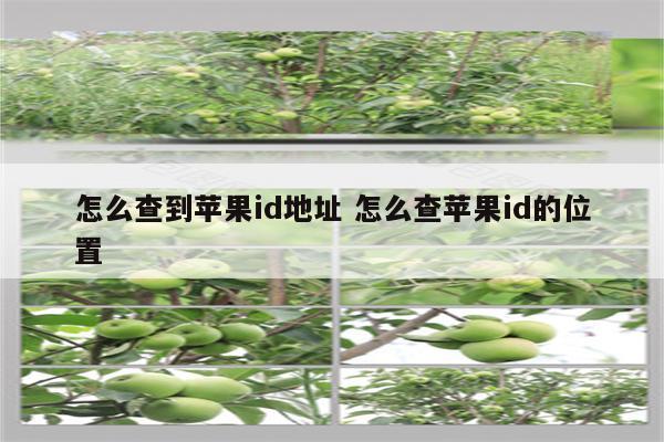 怎么查到苹果id地址 怎么查苹果id的位置
