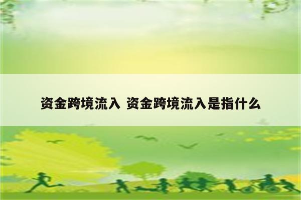 资金跨境流入 资金跨境流入是指什么