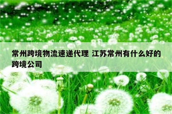 常州跨境物流速递代理 江苏常州有什么好的跨境公司