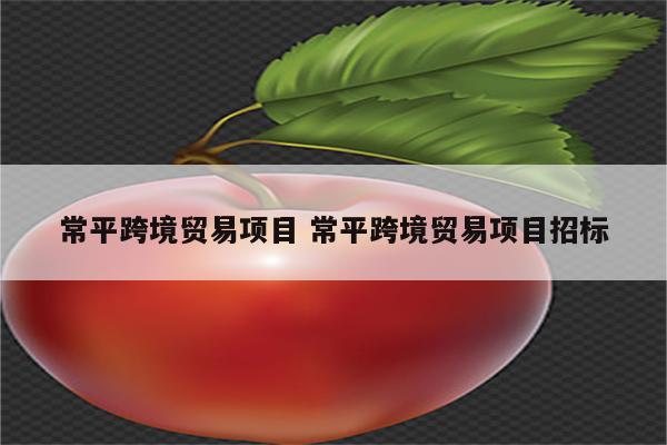常平跨境贸易项目 常平跨境贸易项目招标