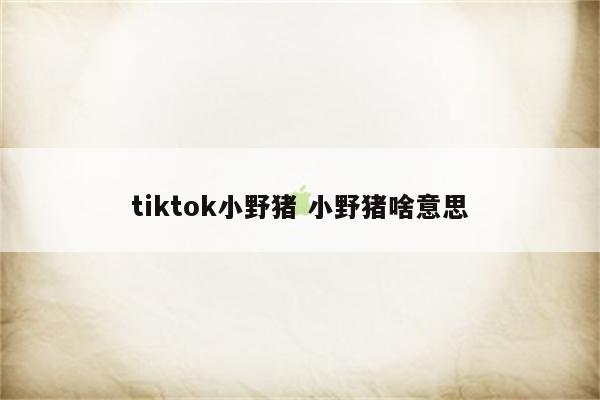 tiktok小野猪 小野猪啥意思
