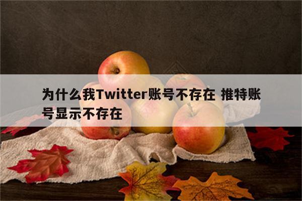 为什么我Twitter账号不存在 推特账号显示不存在