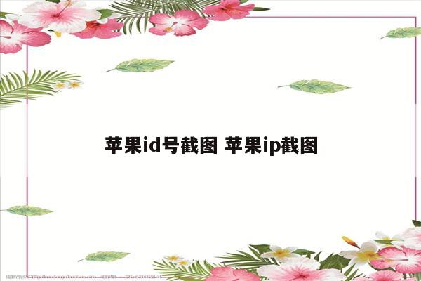 苹果id号截图 苹果ip截图