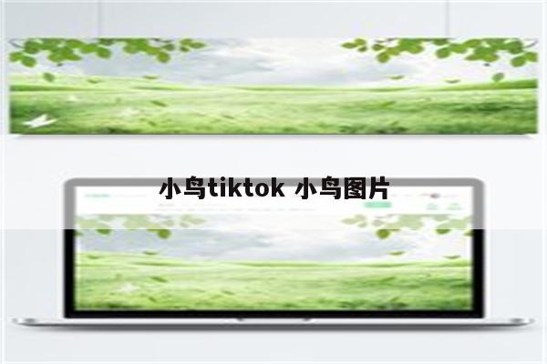 小鸟tiktok 小鸟图片