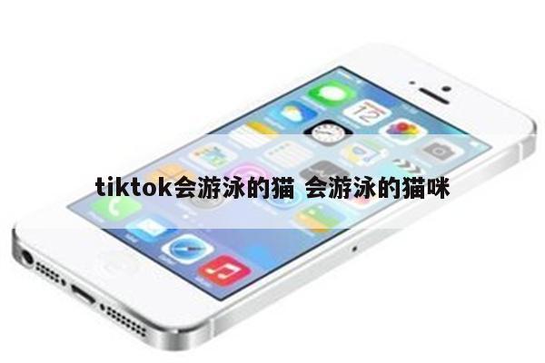tiktok会游泳的猫 会游泳的猫咪