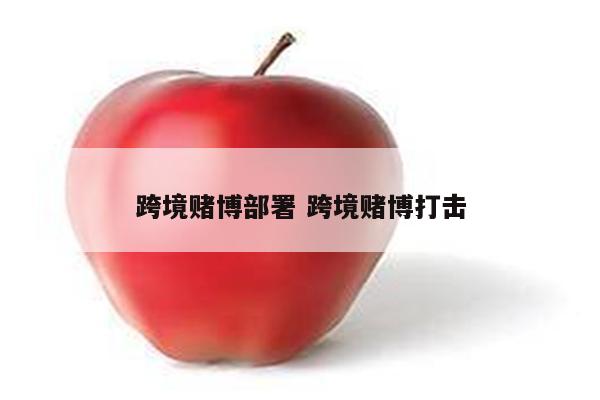 跨境赌博部署 跨境赌博打击