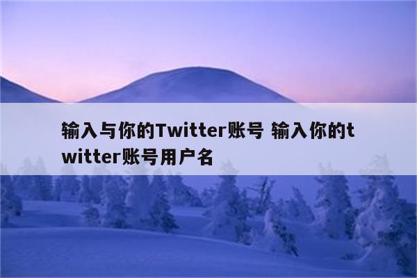 输入与你的Twitter账号 输入你的twitter账号用户名