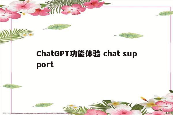 ChatGPT功能体验 chat support