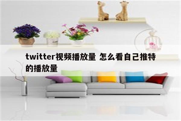 twitter视频播放量 怎么看自己推特的播放量