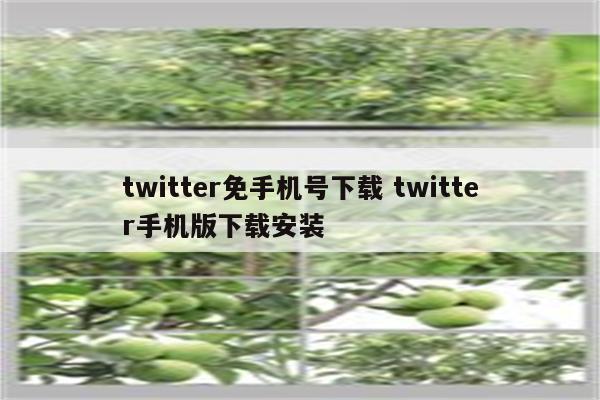 twitter免手机号下载 twitter手机版下载安装