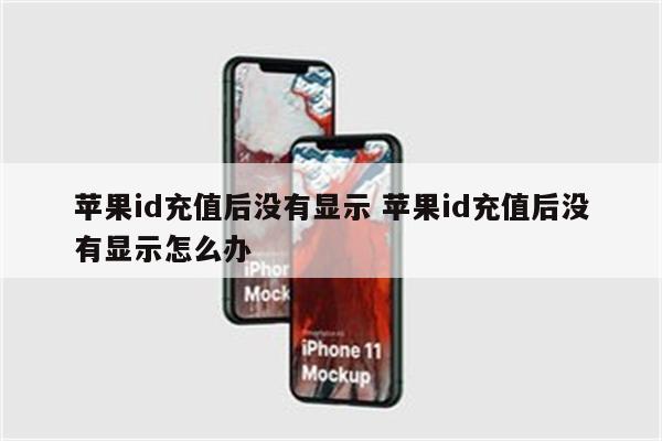 苹果id充值后没有显示 苹果id充值后没有显示怎么办