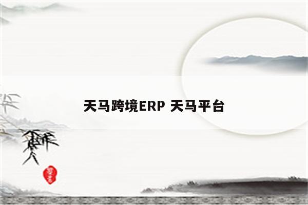 天马跨境ERP 天马平台