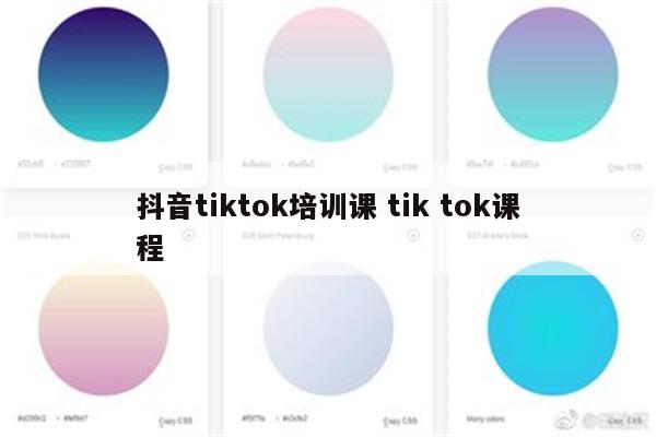 抖音tiktok培训课 tik tok课程