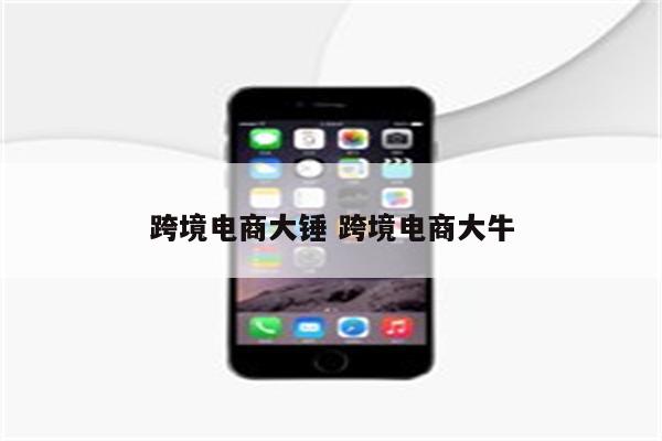 跨境电商大锤 跨境电商大牛