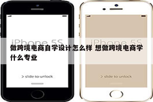 做跨境电商自学设计怎么样 想做跨境电商学什么专业