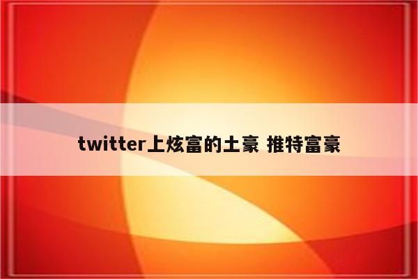 twitter上炫富的土豪 推特富豪