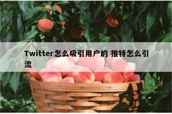 Twitter怎么吸引用户的 推特怎么引流