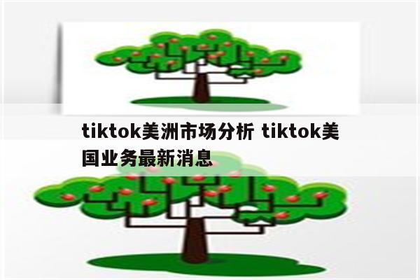 tiktok美洲市场分析 tiktok美国业务最新消息