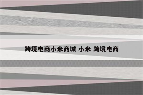 跨境电商小米商城 小米 跨境电商