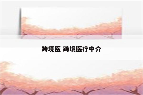 跨境医 跨境医疗中介