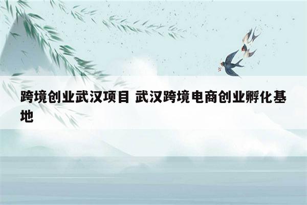 跨境创业武汉项目 武汉跨境电商创业孵化基地