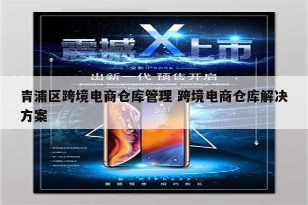 青浦区跨境电商仓库管理 跨境电商仓库解决方案