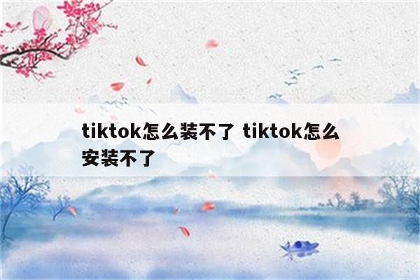 tiktok怎么装不了 tiktok怎么安装不了