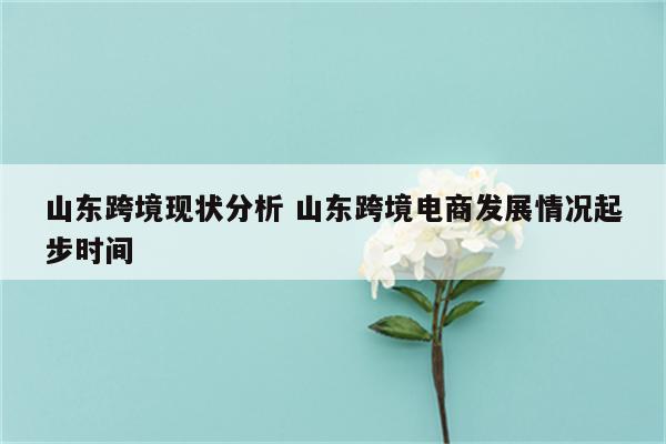 山东跨境现状分析 山东跨境电商发展情况起步时间