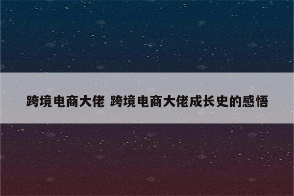 跨境电商大佬 跨境电商大佬成长史的感悟