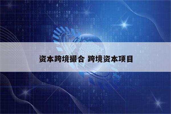 资本跨境撮合 跨境资本项目