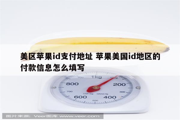 美区苹果id支付地址 苹果美国id地区的付款信息怎么填写