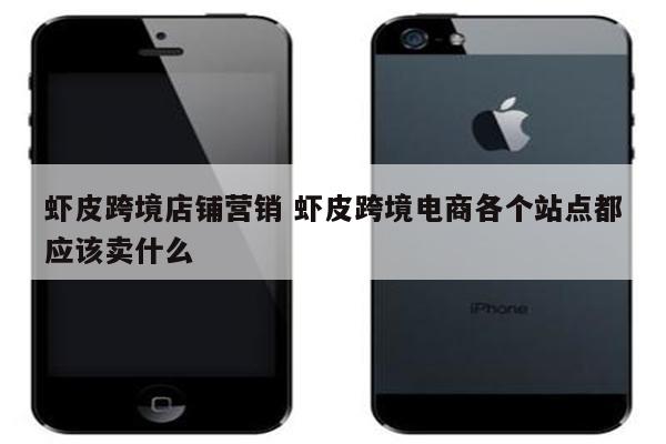 虾皮跨境店铺营销 虾皮跨境电商各个站点都应该卖什么