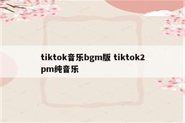 tiktok音乐bgm版 tiktok2pm纯音乐