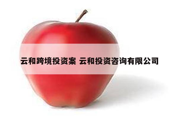 云和跨境投资案 云和投资咨询有限公司