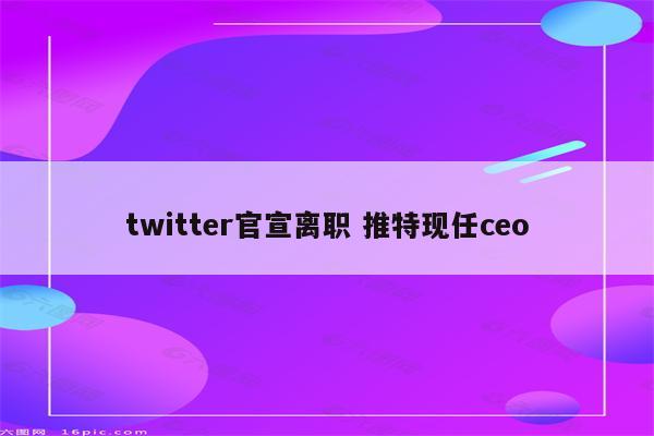 twitter官宣离职 推特现任ceo