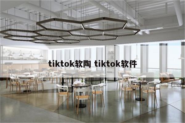 tiktok软陶 tiktok软件