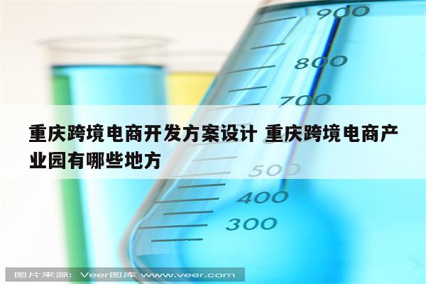 重庆跨境电商开发方案设计 重庆跨境电商产业园有哪些地方