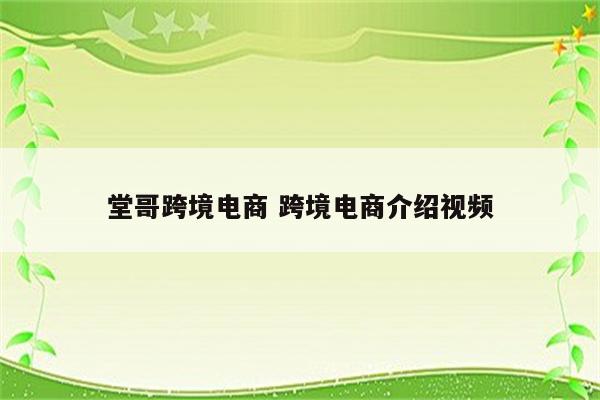 堂哥跨境电商 跨境电商介绍视频