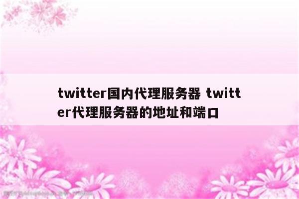 twitter国内代理服务器 twitter代理服务器的地址和端口