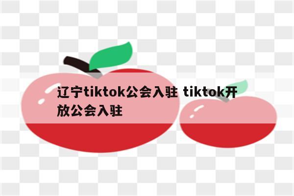 辽宁tiktok公会入驻 tiktok开放公会入驻