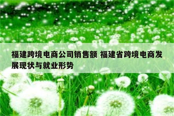福建跨境电商公司销售额 福建省跨境电商发展现状与就业形势