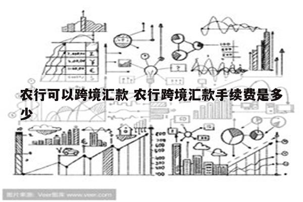 农行可以跨境汇款 农行跨境汇款手续费是多少