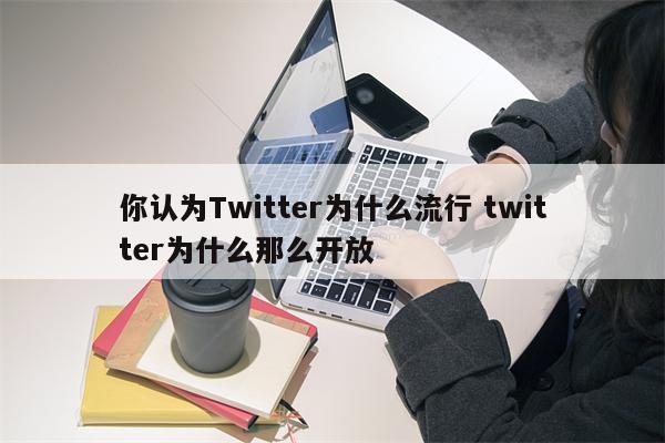 你认为Twitter为什么流行 twitter为什么那么开放