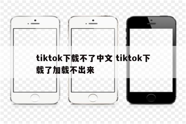 tiktok下载不了中文 tiktok下载了加载不出来